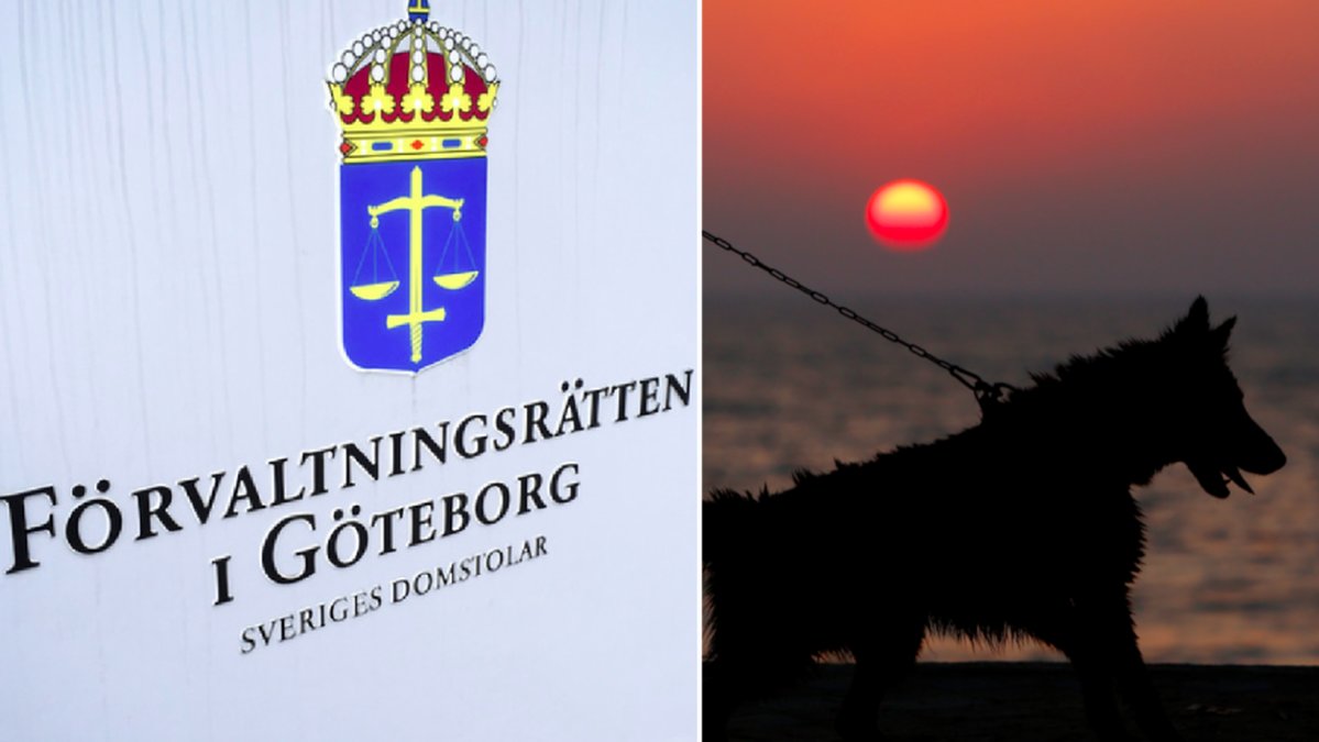 Beslutet togs av förvaltningsrätten i Göteborg.